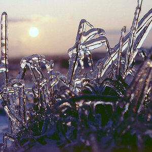 Eisregen Februar 1987