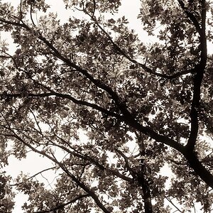 herbst02