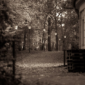 herbst08