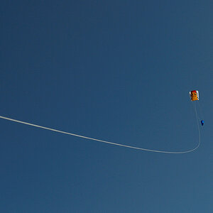 Kite