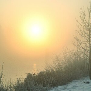 winterbild