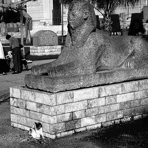 0comp0Ägypten neu 006 023 sw