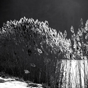 Wintersonne04