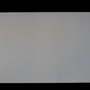 300 6287