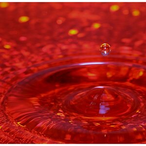 Wassertropfen auf Holofolie und rotem Krepp