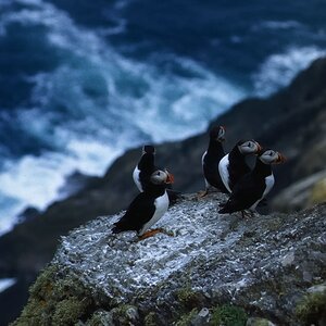0comp0Irland neu 008 014 CNX