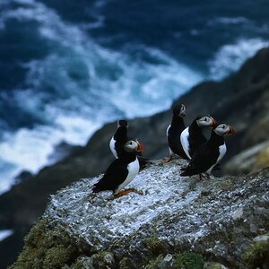0comp0Irland neu 008 014 CNX