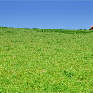 Wiese, Himmel, Bank