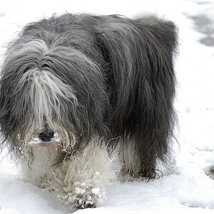 Heute im Schnee