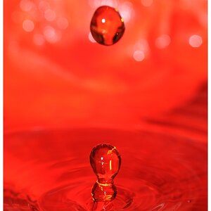 Wassertropfen auf Holopapier und rotem Krepp