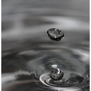Wassertropfen in Schale, kein SW