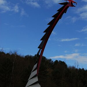 kenzaburo haldehohenward 1