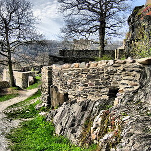 burg