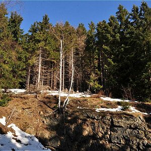Harz