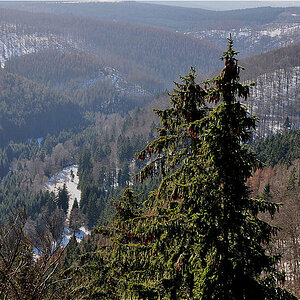 Harz