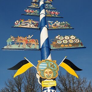 DSC 8989