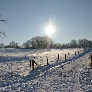 Winterstimmung