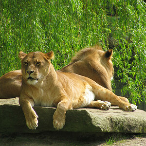 Zoo Münster