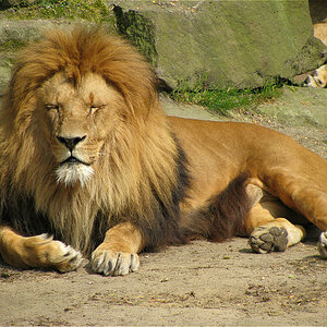 Zoo Münster