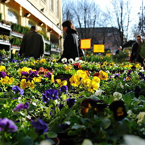 20100319 162030 münchen frühling