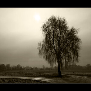 20090103115955 9239 g1000x663x228kb