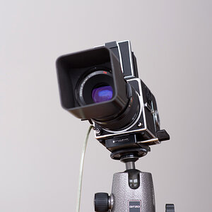 Hasselblad