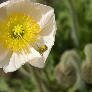 MOHN 250509  14