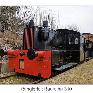 RL 310
