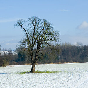 Winter 2010   01