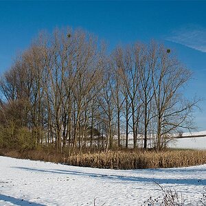 Winter 2010   02
