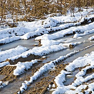 Winter 2010   04