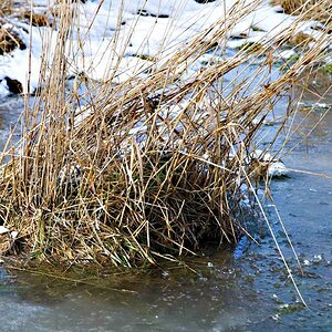 Winter 2010   05