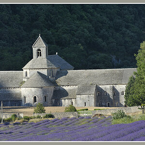 Kloster Sénanque, Provence