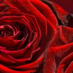 Fotografiere Rot