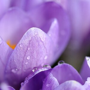 verhaltener Frühling