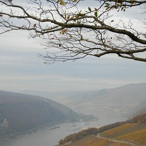 Assmannshausen