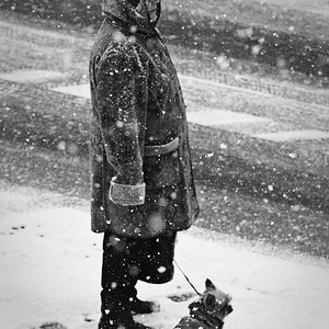Winter... again!