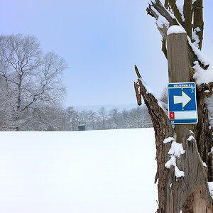Winter003