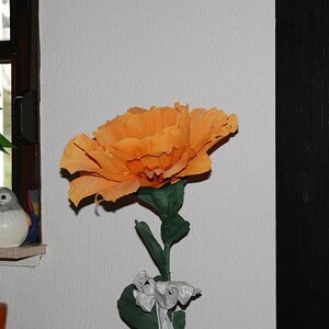DSC 0448n