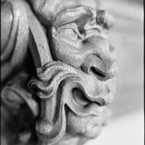 Neg2010 236