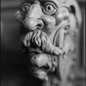 Neg2010 239
