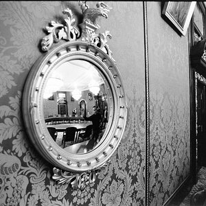 Neg2010 253