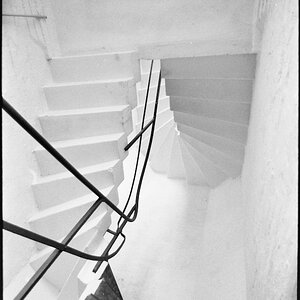 Neg2010 262