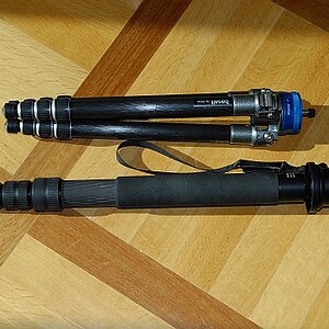 monopod