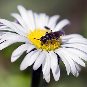 Exif
