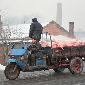 Trike in Jixi
Vom Schlachthof in die Wurstfabrik?
(8236)