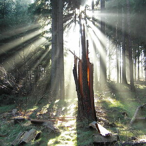 Nach dem Sturm1