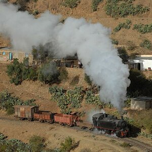 FE 442 54 
bei der Einfahrt in Shegereni
