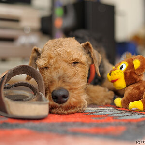 D700, 50/1.4, f=2