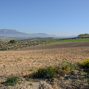 zwischen Cordoba und Granada